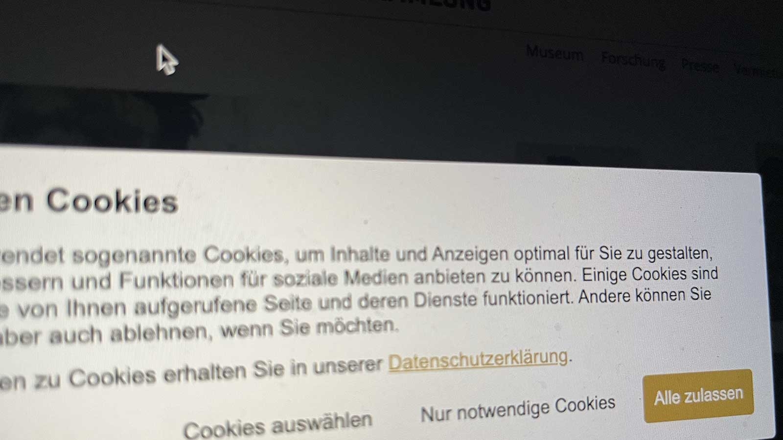 Privacy Link ohne Cookie-Banner im Cookie-Banner (cookie.life) © echonet communication / Auftraggeber